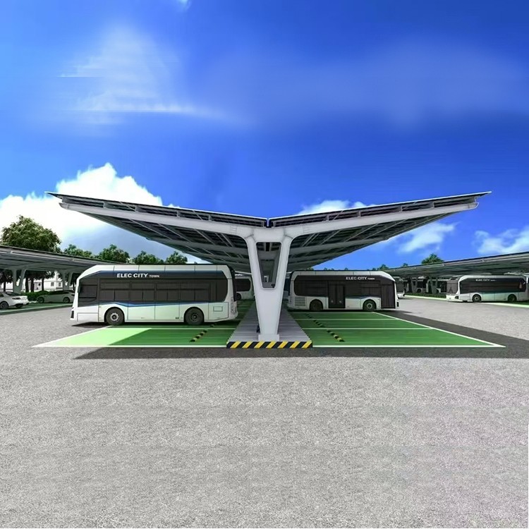 professional Photovoltaic Carport Mounting System display