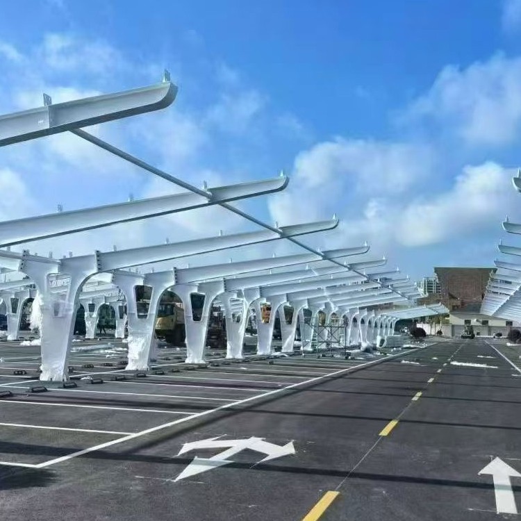 professional Photovoltaic Carport Mounting System show
